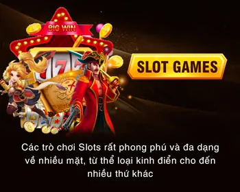 Chương trình VIP 4hu88